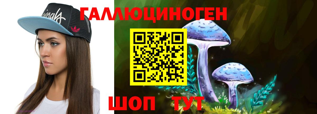Черкесск  Псилоцибиновые грибы мицелий  Вход с VPN  как найти закладки  Псилоцибиновые грибы Magic Shrooms 