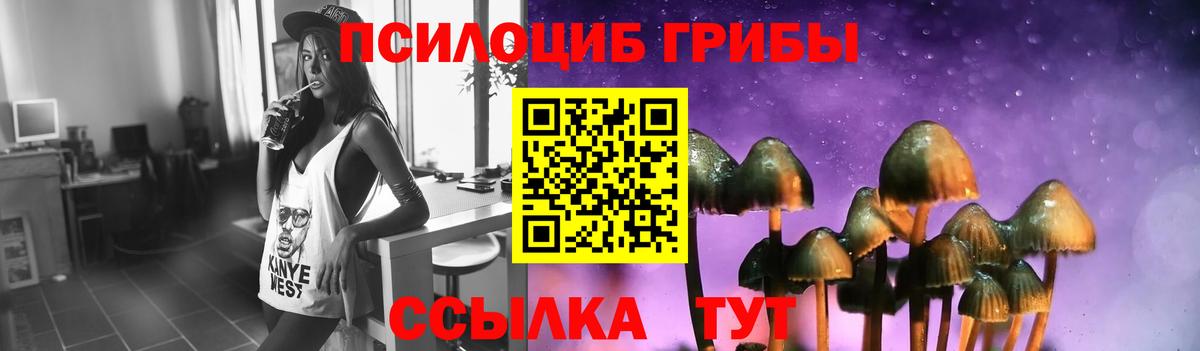 Псилоцибиновые грибы мухоморы Черкесск